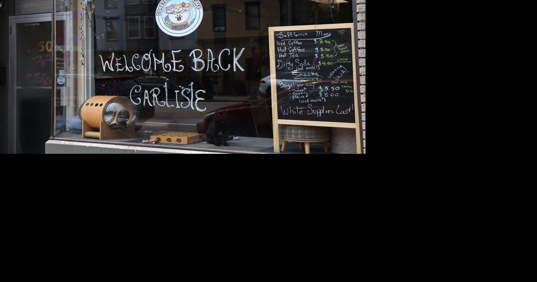 Rebranded Carlisle cat cafe plans Friday opening