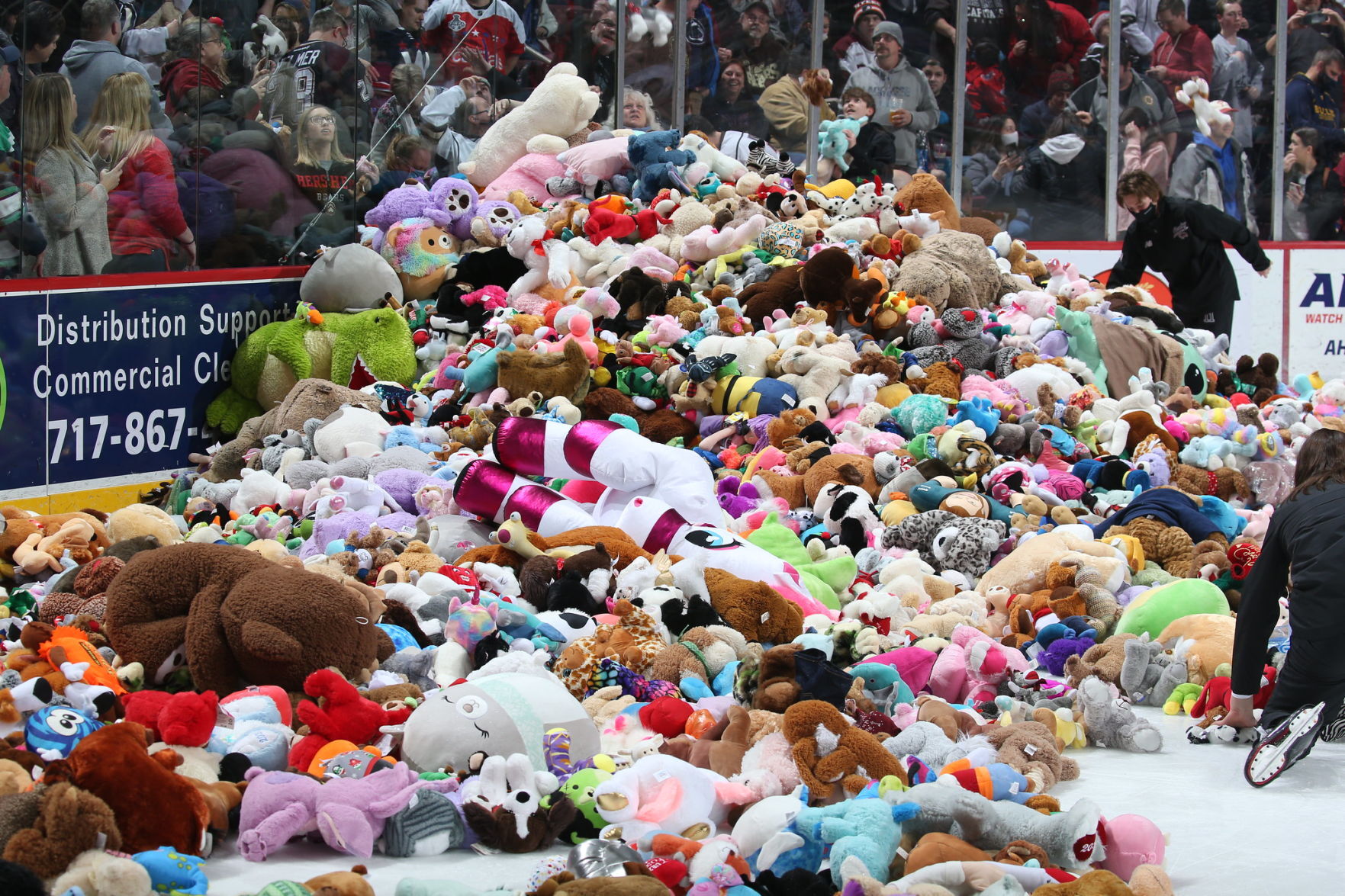 AHL Hershey Bears collect 52,341 stuffed animals, defeat Hartford in Teddy Bear Toss game