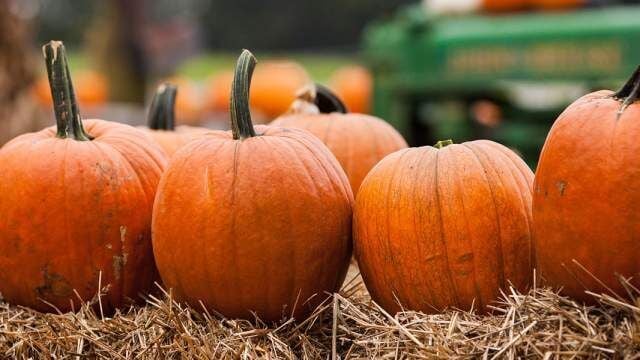 Hayrides in PA