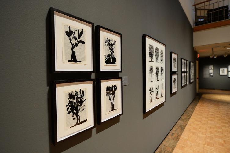 Trout Gallery at Dickinson College ties art to language learning