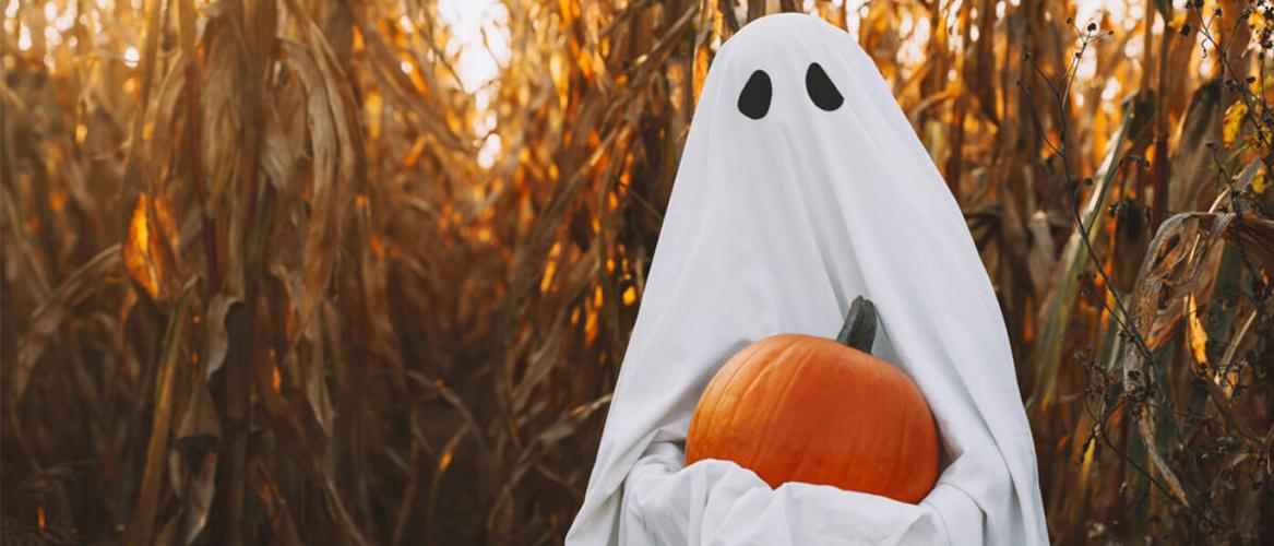 Haunted Mazes and Corn Mazes in PA