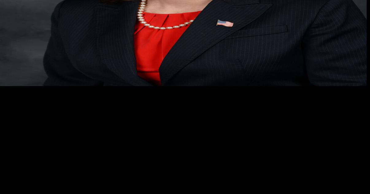 Election 2022 Cumberland County Preview 199th Legislative District