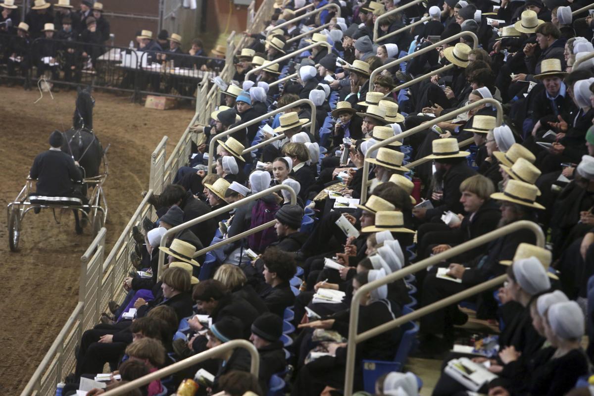 Amish or not, sellers and buyers pony up at horse auction Capital