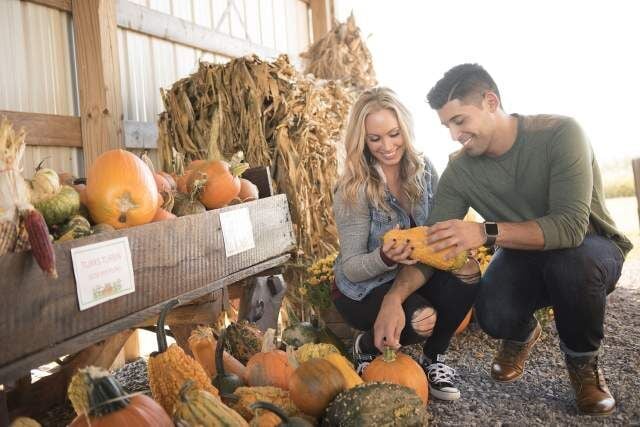 Picture-Perfect Pumpkin Patches