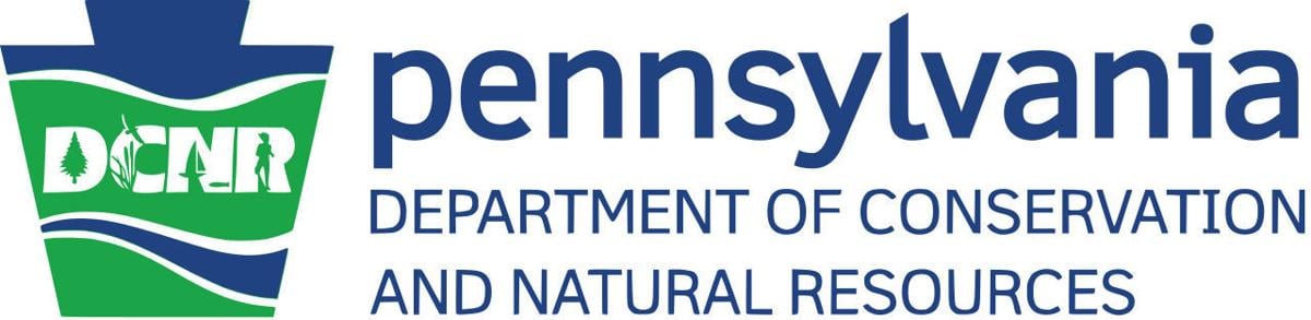 DCNR logo