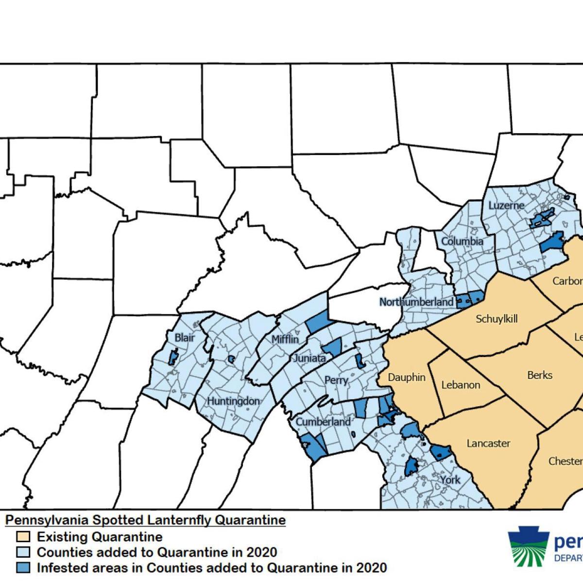 Cumberland Perry Counties Added To Spotted Lanternfly Quarantine Zone In Pennsylvania The Sentinel News Cumberlink Com