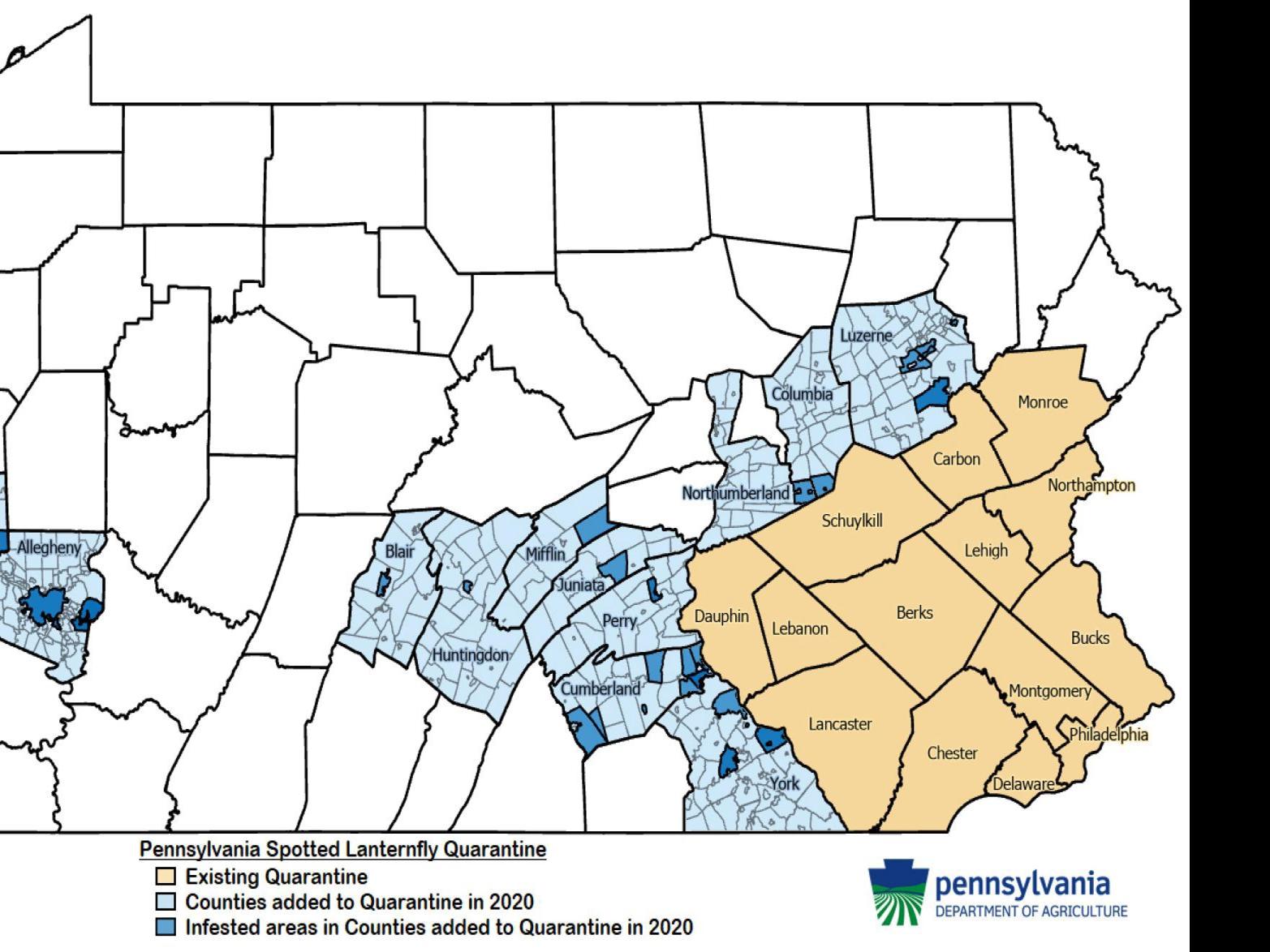 Cumberland Perry Counties Added To Spotted Lanternfly Quarantine Zone In Pennsylvania The Sentinel News Cumberlink Com