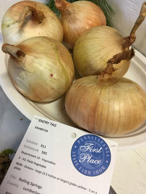 South Middleton man wins award for onions at Farm Show The Sentinel