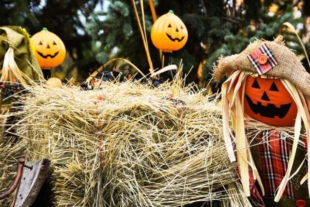 Haunted Mazes and Corn Mazes in PA