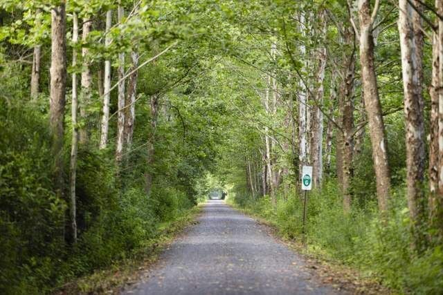 The Great American Getaway Guide to Williamsport