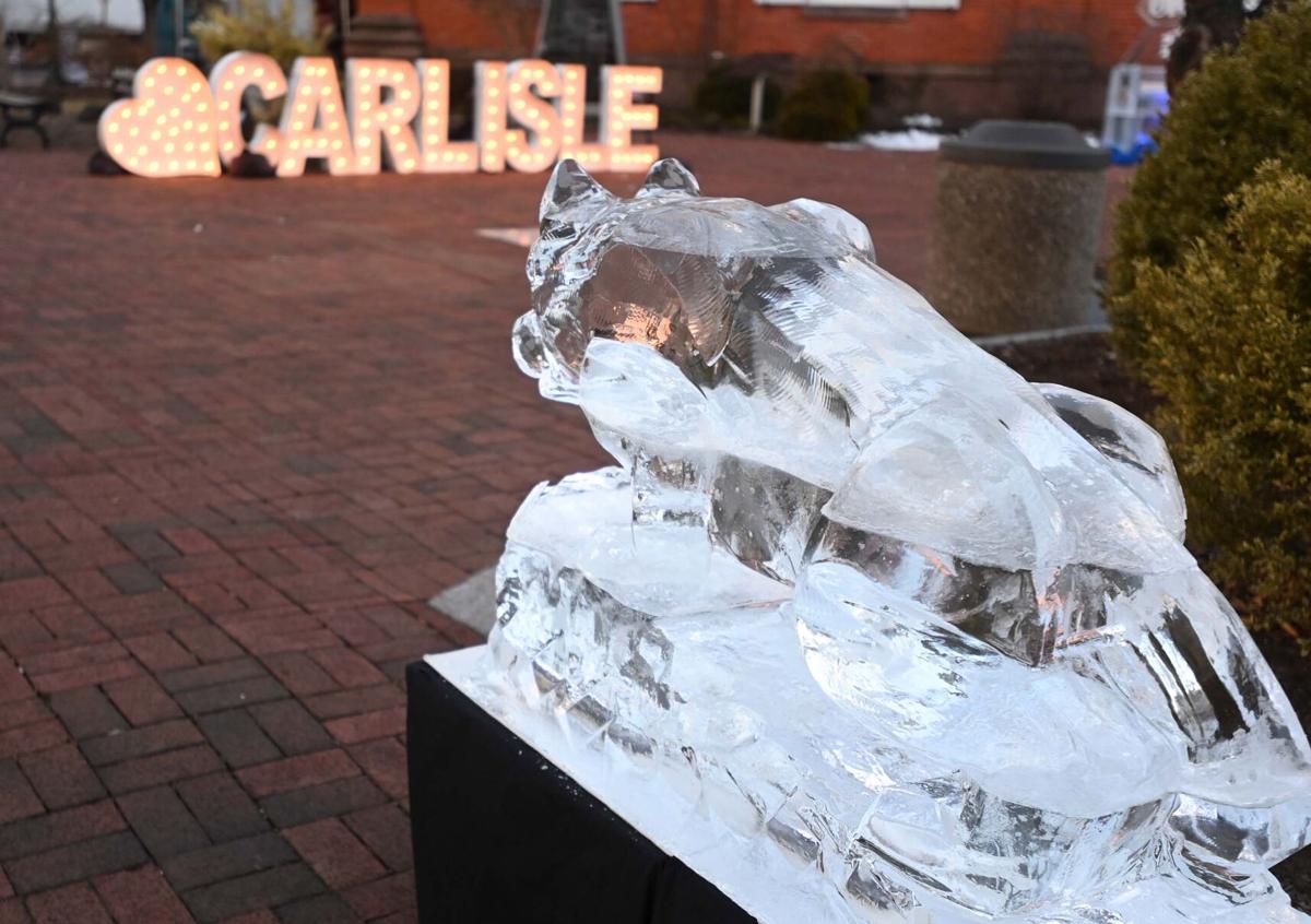 Ice Sculpture Molds by Carlisle