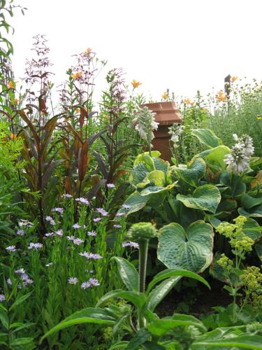 Carlisle Garden of the Month: Burnt House Road garden in spotlight