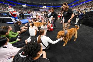 'No egos,' transparency and golden retrievers bring USA Gymnastics back from the brink