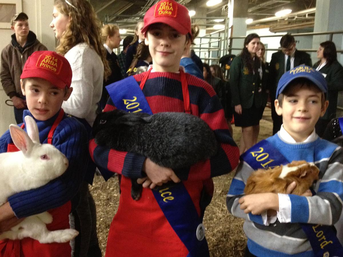 Farm Show opens in Harrisburg The Sentinel Local Scene