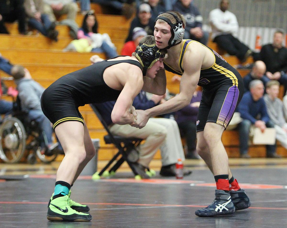 PIAA District 3 Class AA Wrestling Sectionals
