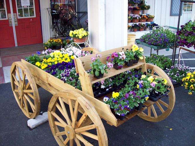 Flowers at Knisely's Pet & Farm Center