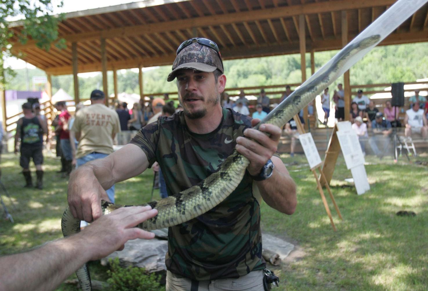 Yearly Pa. rattlesnake roundup event yields dozens of serpents State