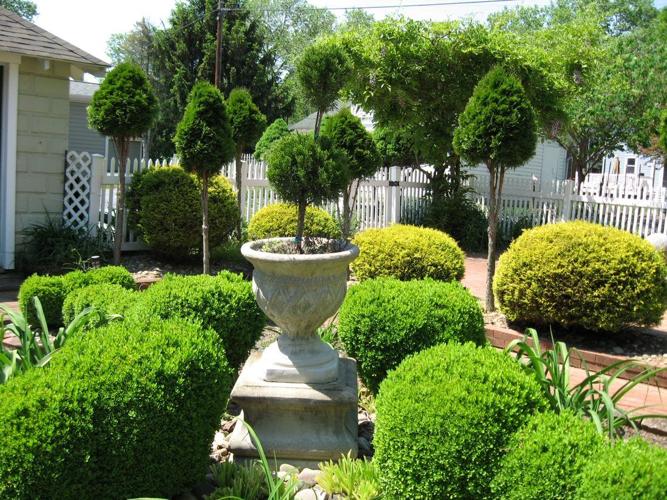 Tour 10 unique gardens in Carlisle