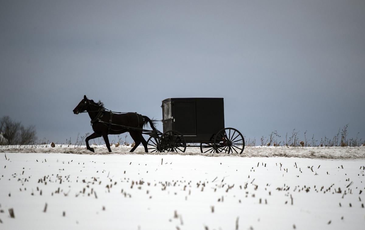 Amish and Mennonites