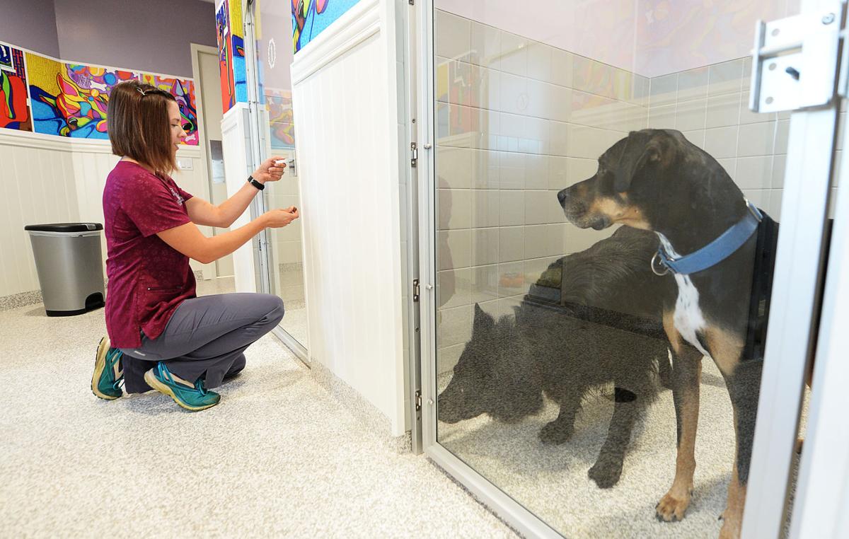 A new vet clinic opens in South Middleton Cumberland Valley Business