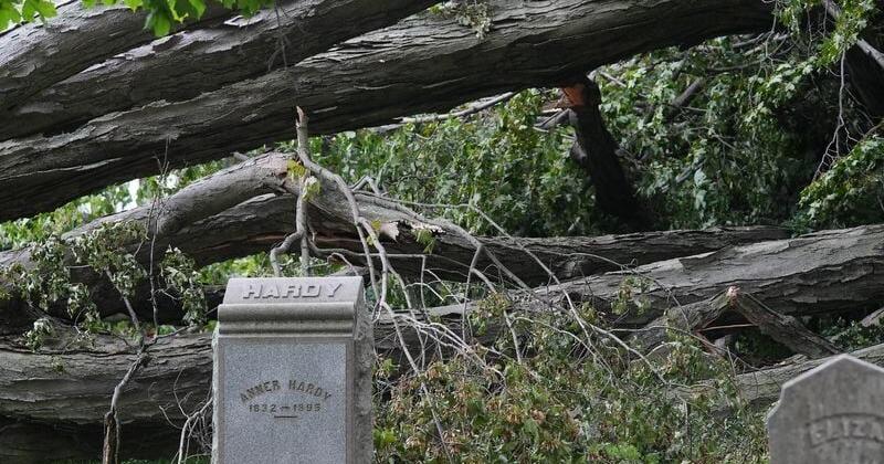 Storm cleanup cost at Erie Cemetery estimated at $500,000 minimum