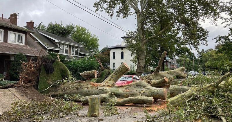 Photos, videos capture massive cleanup after Erie storms
