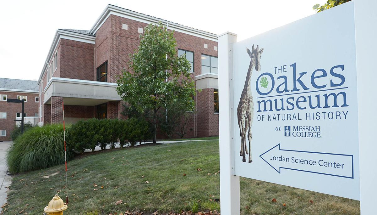 The Oakes Museum Of Natural History The Oakes Museum Of Natural History
