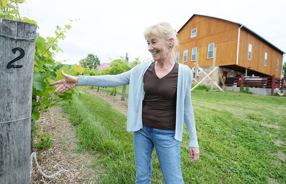 Winery Could Open To The Public In Late July Or Early August The Sentinel News Cumberlink Com