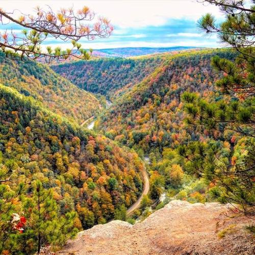 When and Where to View the Best Fall Foliage in PA