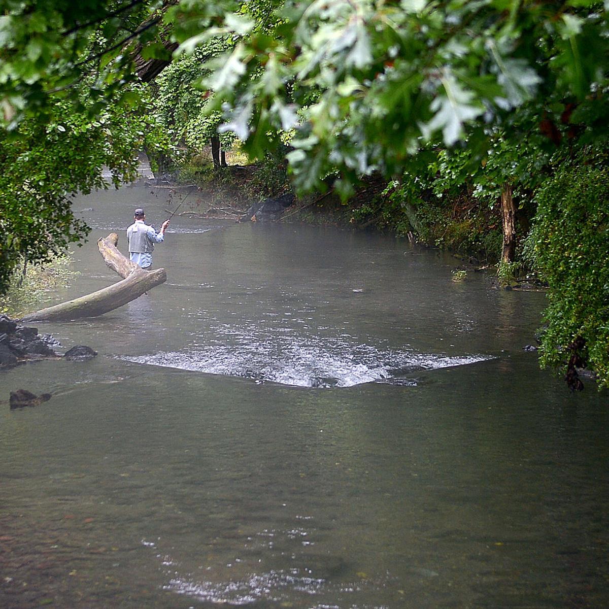 Sentinel Name Game A Pair Of Stolen Pants The Sentinel News Cumberlink Com Sentinel Name Game A Pair Of Stolen Pants The Sentinel News Cumberlink Com