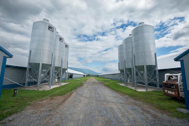 Governor Shapiro Secures Significant Investment from The Wenger Group to Expand and Purchase Plainville Farms, Retaining Nearly 700 Jobs in Adams County