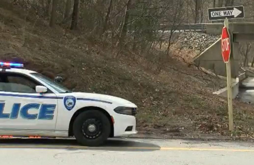 Police 2 dead in Route 72 crash were shot Stateandregional