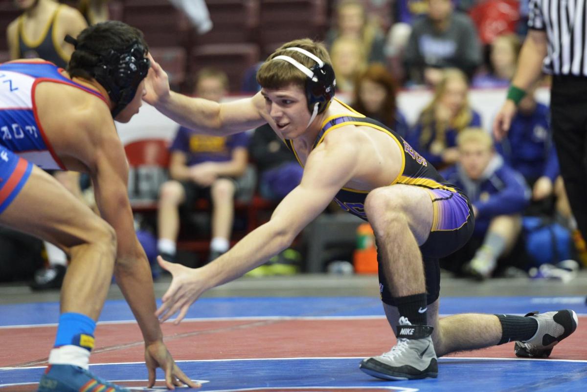 PIAA Team Wrestling Boiling Springs cruises to win over Fort LeBoeuf Wrestling