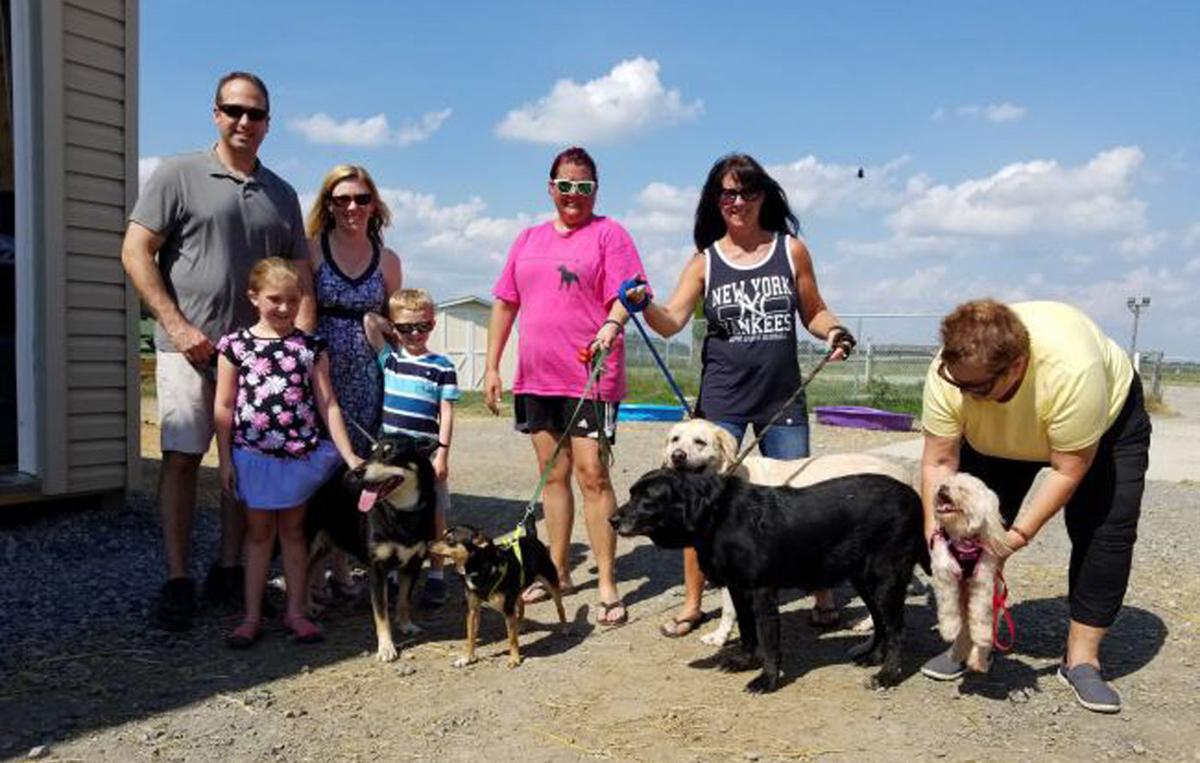 East Pennsboro dogs