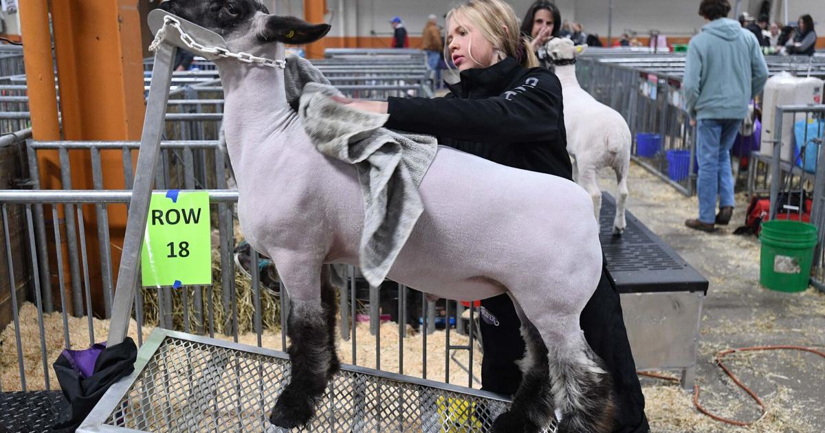 Photos Scenes from the 2025 PA Farm Show