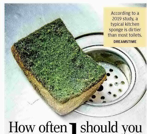 How often should you replace your sponge?