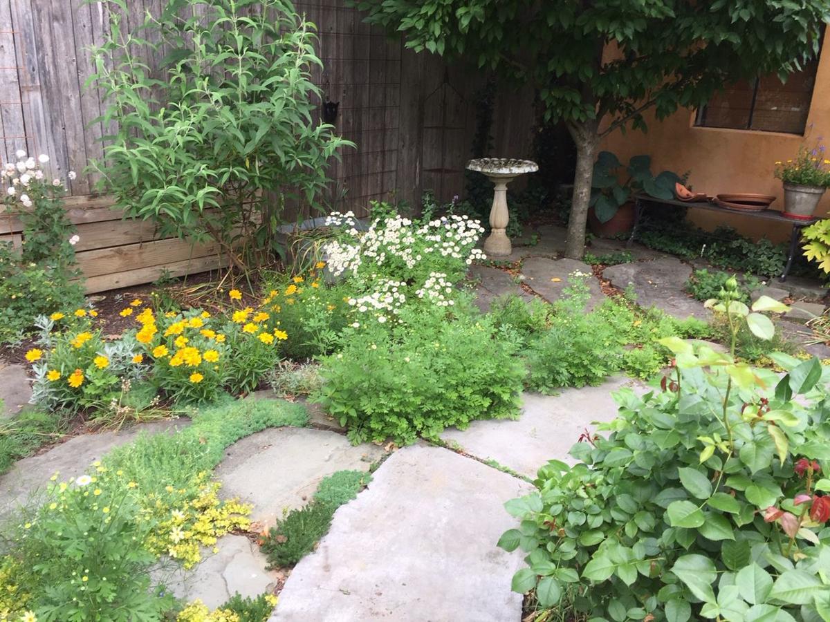 Carlisle Garden of the Month Downtown Carlisle garden a hidden gem Carlisle