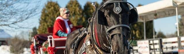 Must-Attend Holiday Events and Festivals in Pennsylvania