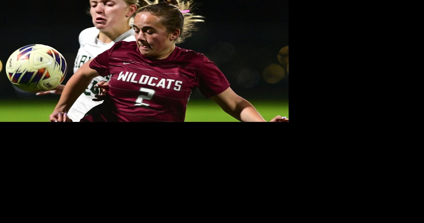 First-half flurry paces Mechanicsburg girls soccer past Carlisle in District 3 playoff opener
