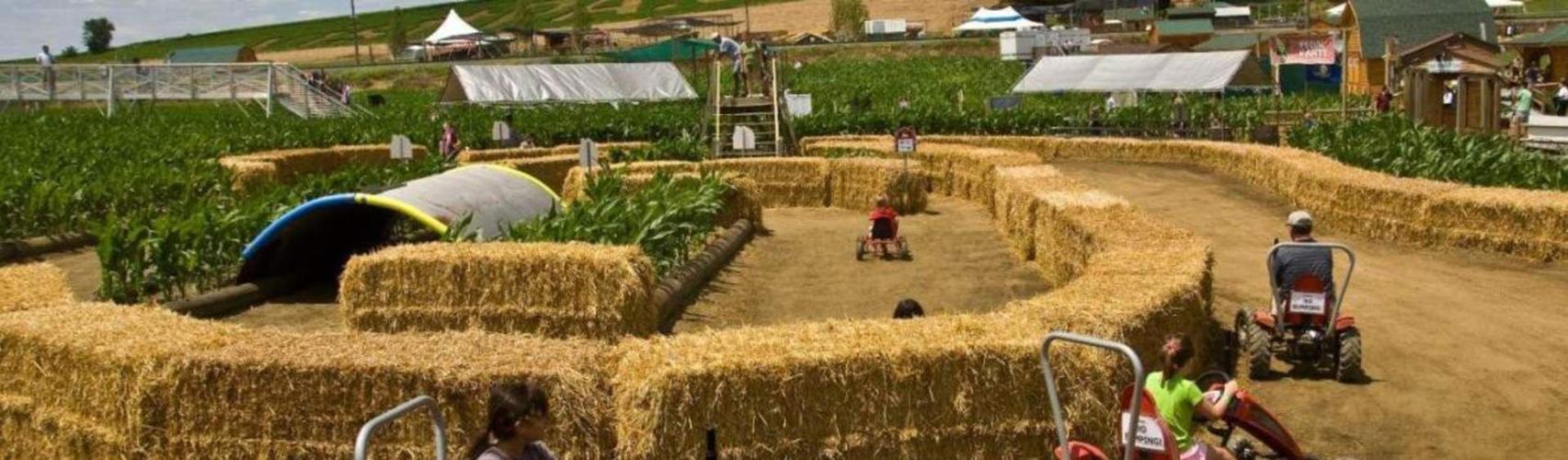 16 Corn Mazes in Pennsylvania to Visit This Fall