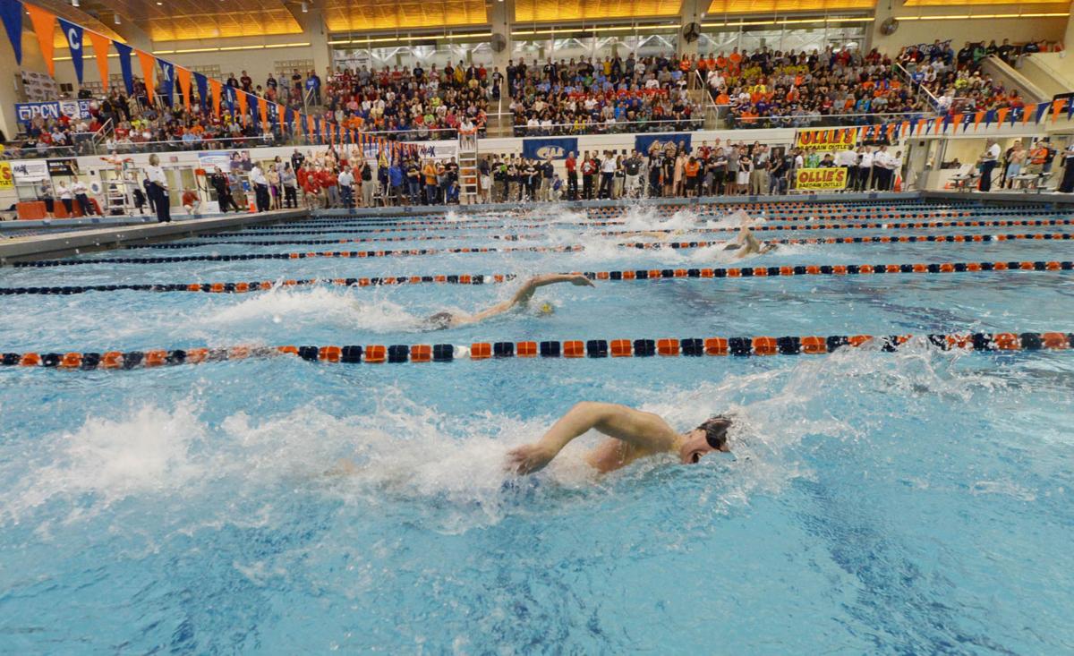 PIAA Swimming and Diving: Young Cumberland Valley looking to build off