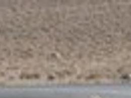 perry county men compete on reality show the sentinel news cumberlink com the sentinel