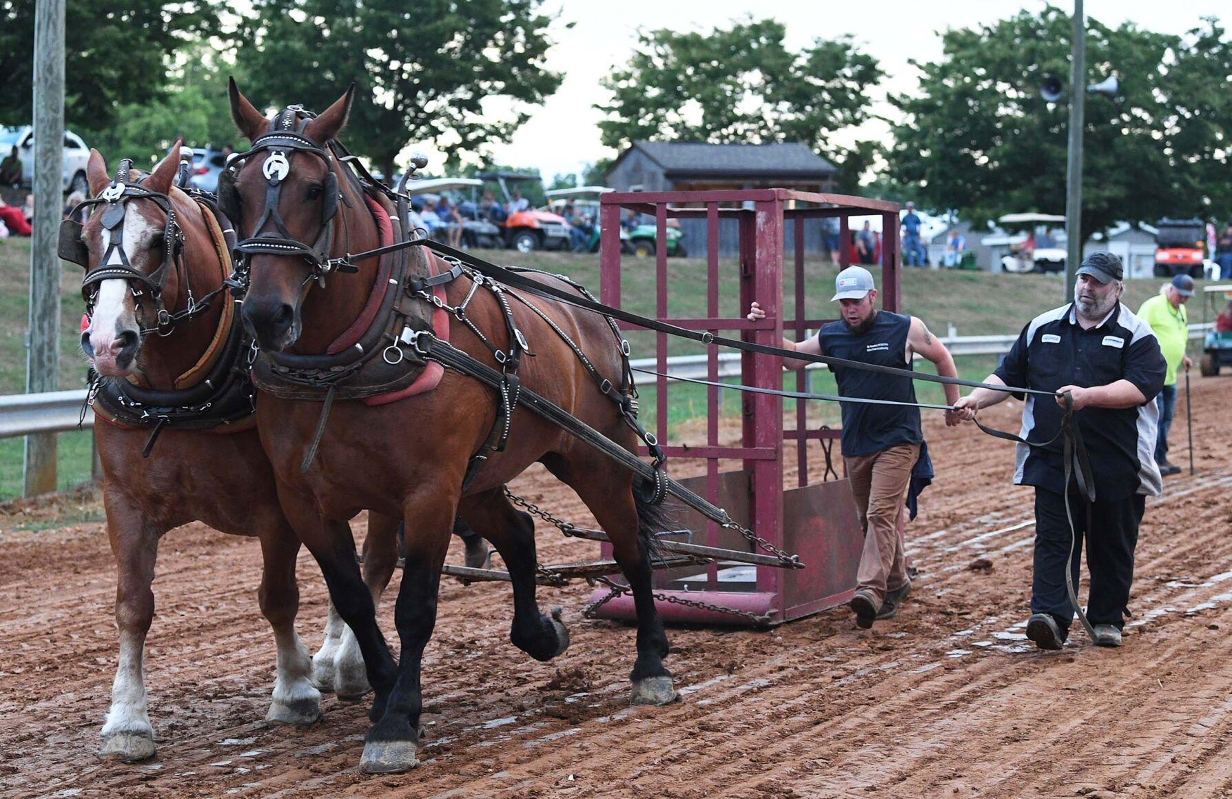 Photos Williams Grove Historical Steam Engine Association annual horse