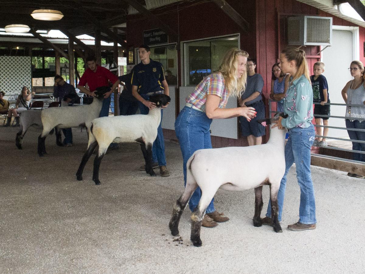 Showtime at the Shippensburg Fair Teens raise, train and display their