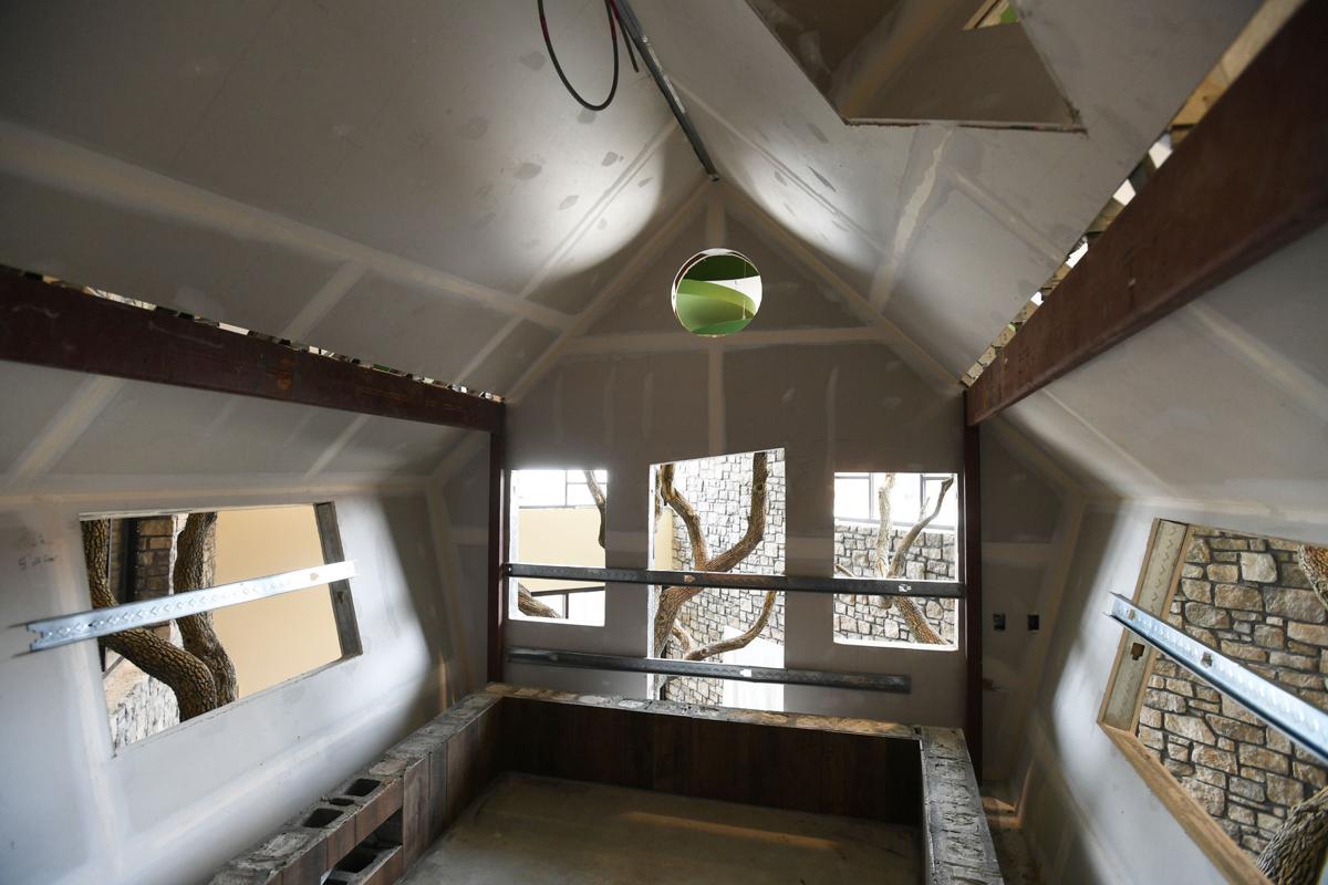 Iron school library includes treehouse Boiling Springs