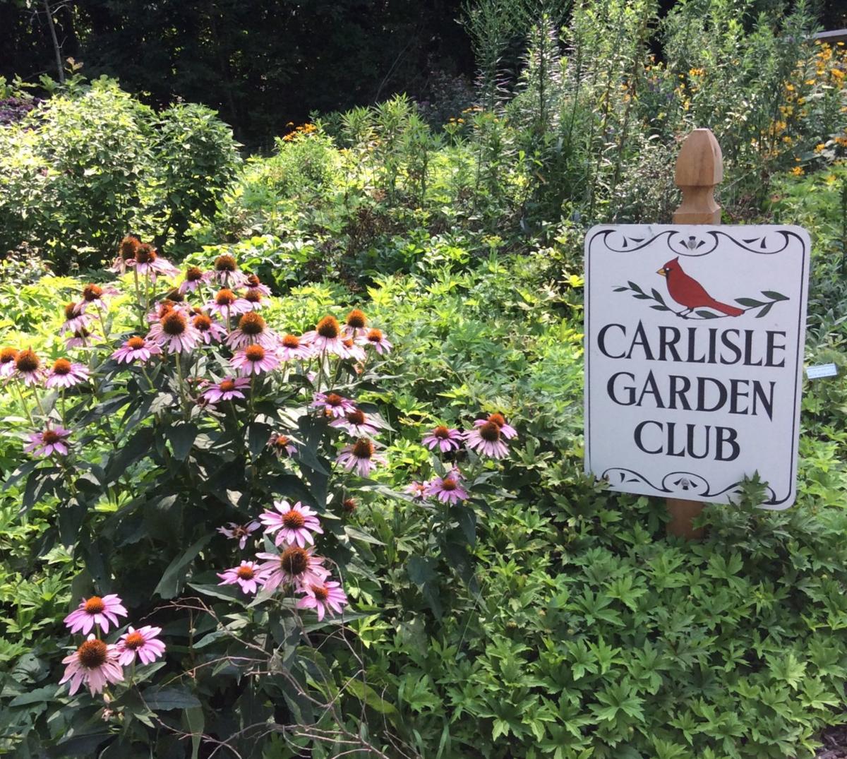 12 gardens to be featured in Carlisle garden tour | Carlisle