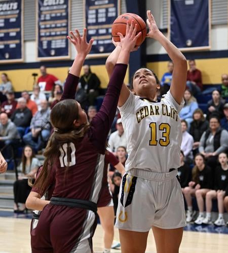 Women's Basketball Defeats York on Senior Night for 13th Consecutive  Victory - Brooklyn College Athletics