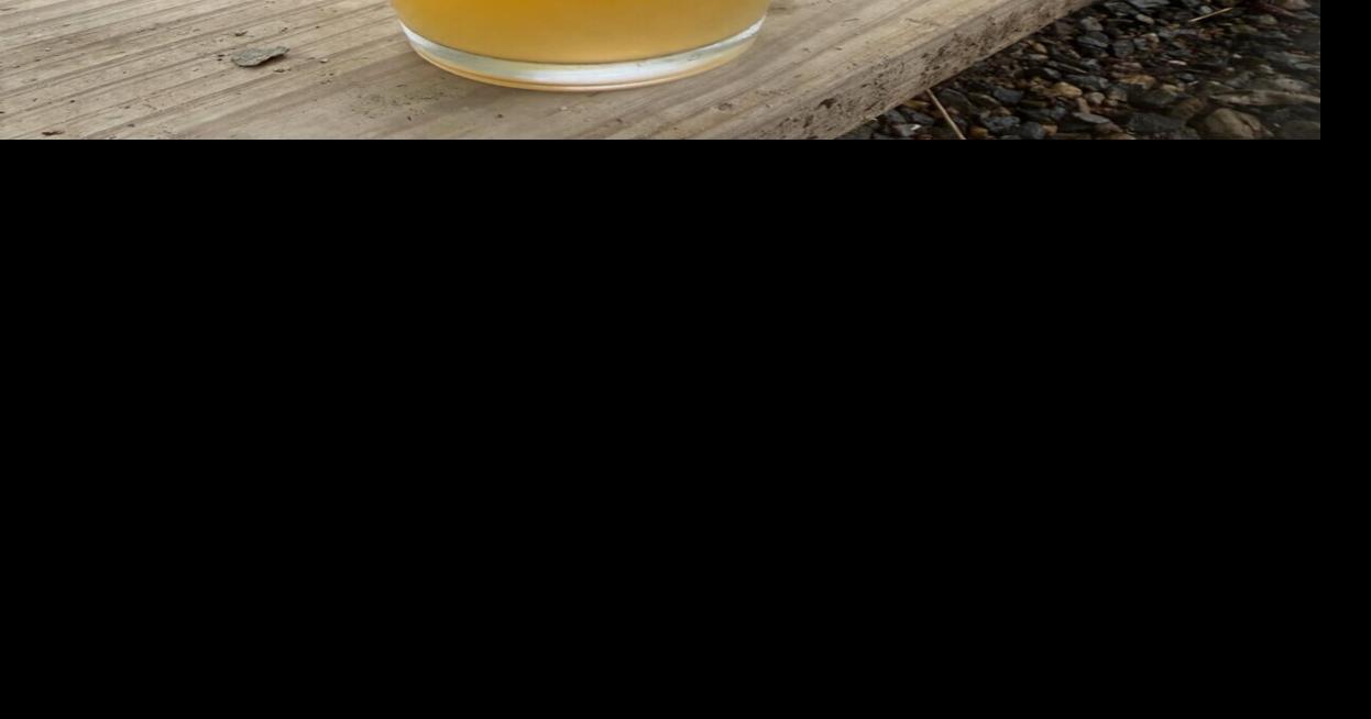 Sales of new lager to support opposition to Monroe data center plans