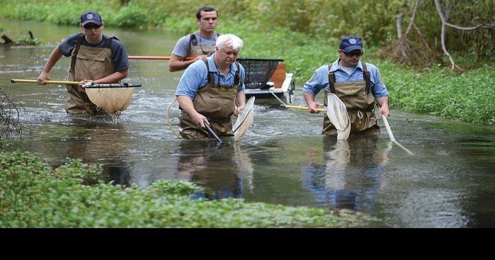 Surveying fish in South Middleton Township (VIDEO)
