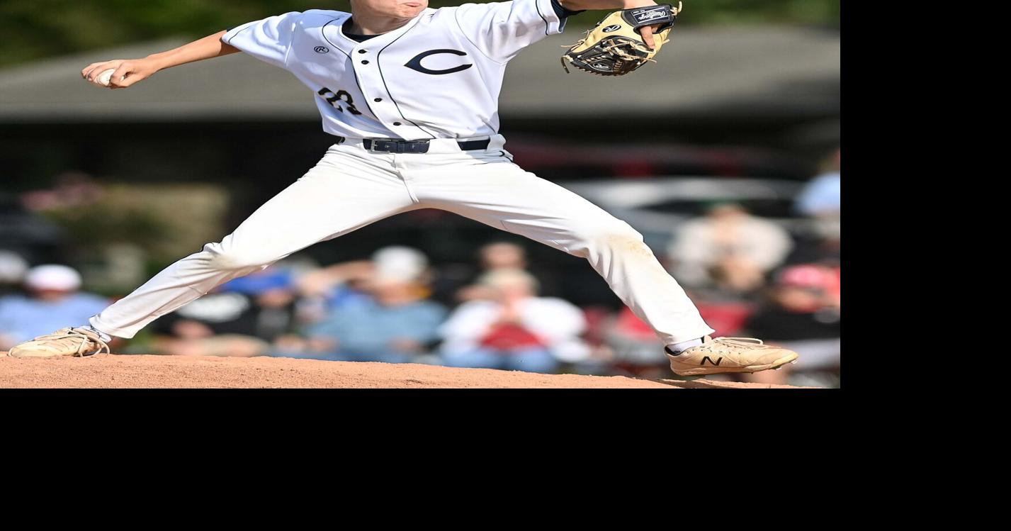 LOCAL BRIEFS: Abingdon's Gibson tabbed as Class 3 baseball player of year